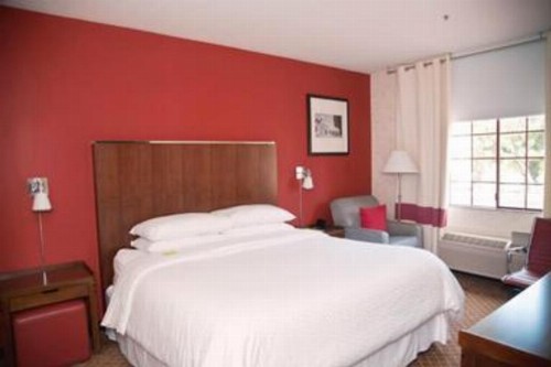 Wyndham Garden Silicon Valley - image 21