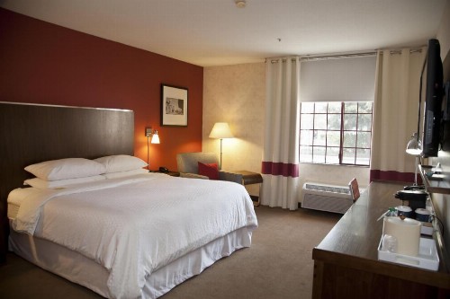 Wyndham Garden Silicon Valley - image 30