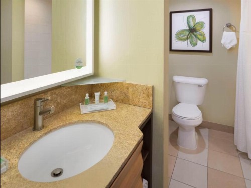 Holiday Inn San Jose-Silicon Valley an IHG Hotel - image 6