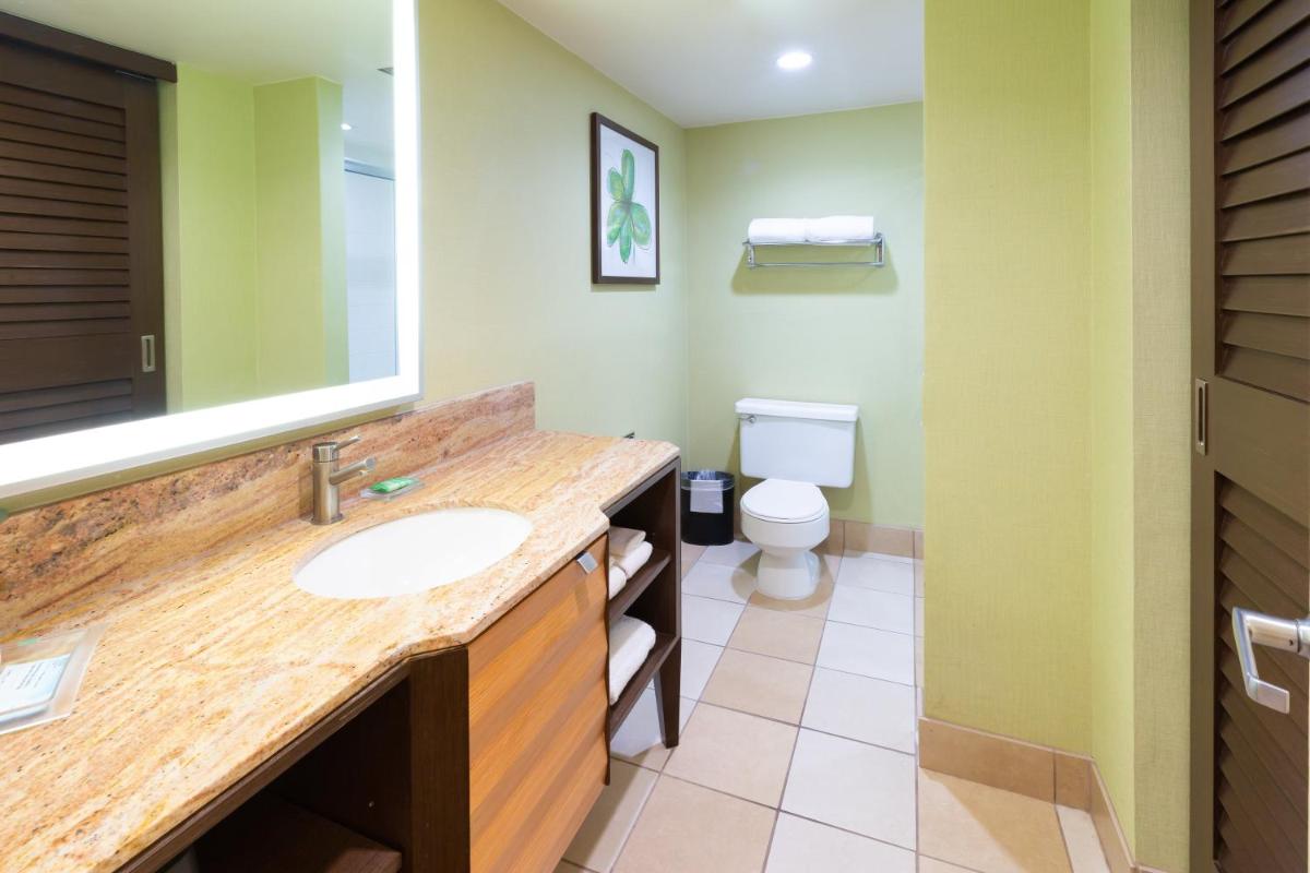 Holiday Inn San Jose-Silicon Valley an IHG Hotel - image 7