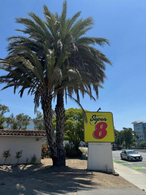 EZ 8 Motel San Jose II - image 15