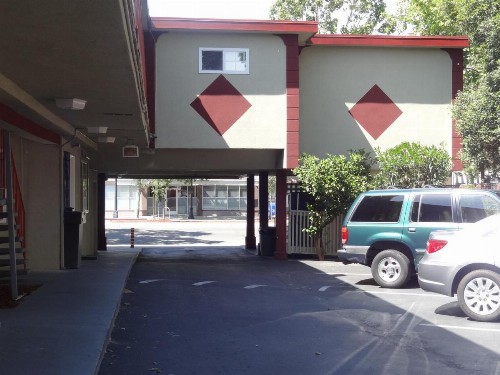 The Flamingo Motel - image 12