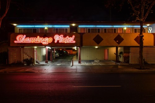 The Flamingo Motel - image 13