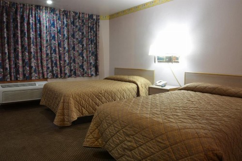 The Flamingo Motel - image 14