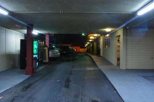 The Flamingo Motel - image 15