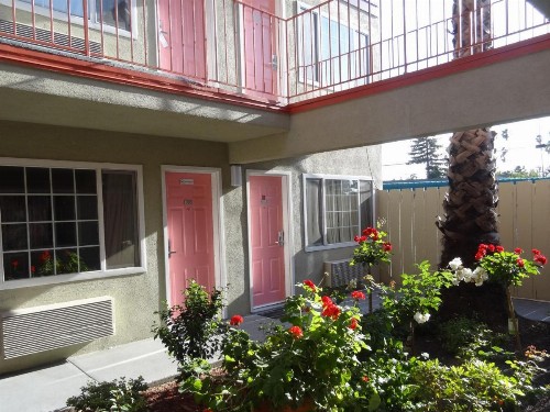 The Flamingo Motel - image 21