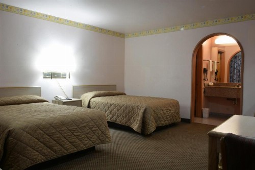 The Flamingo Motel - image 22