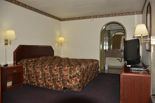 The Flamingo Motel - image 24