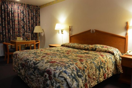 The Flamingo Motel - image 25