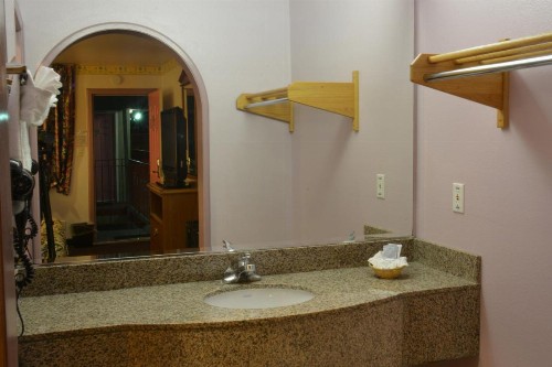 The Flamingo Motel - image 3