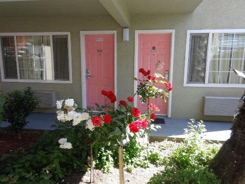 The Flamingo Motel - image 4