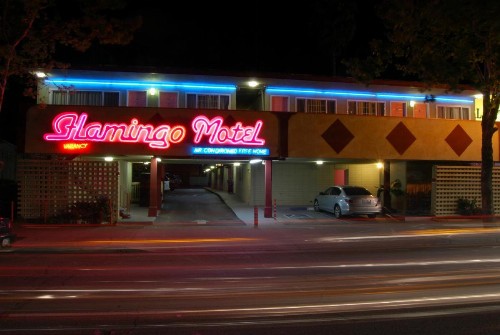 The Flamingo Motel - image 5
