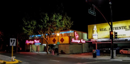 The Flamingo Motel - image 6
