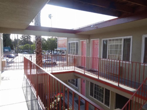 The Flamingo Motel - image 7