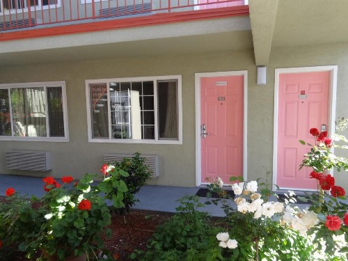 The Flamingo Motel - image 8