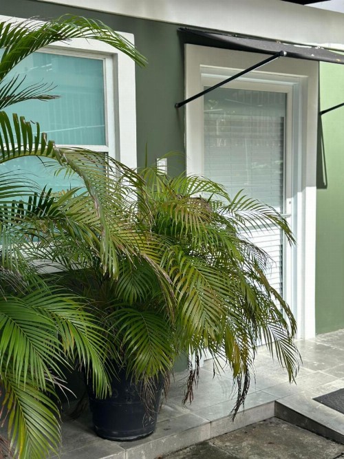Casa Condado Hotel - image 11