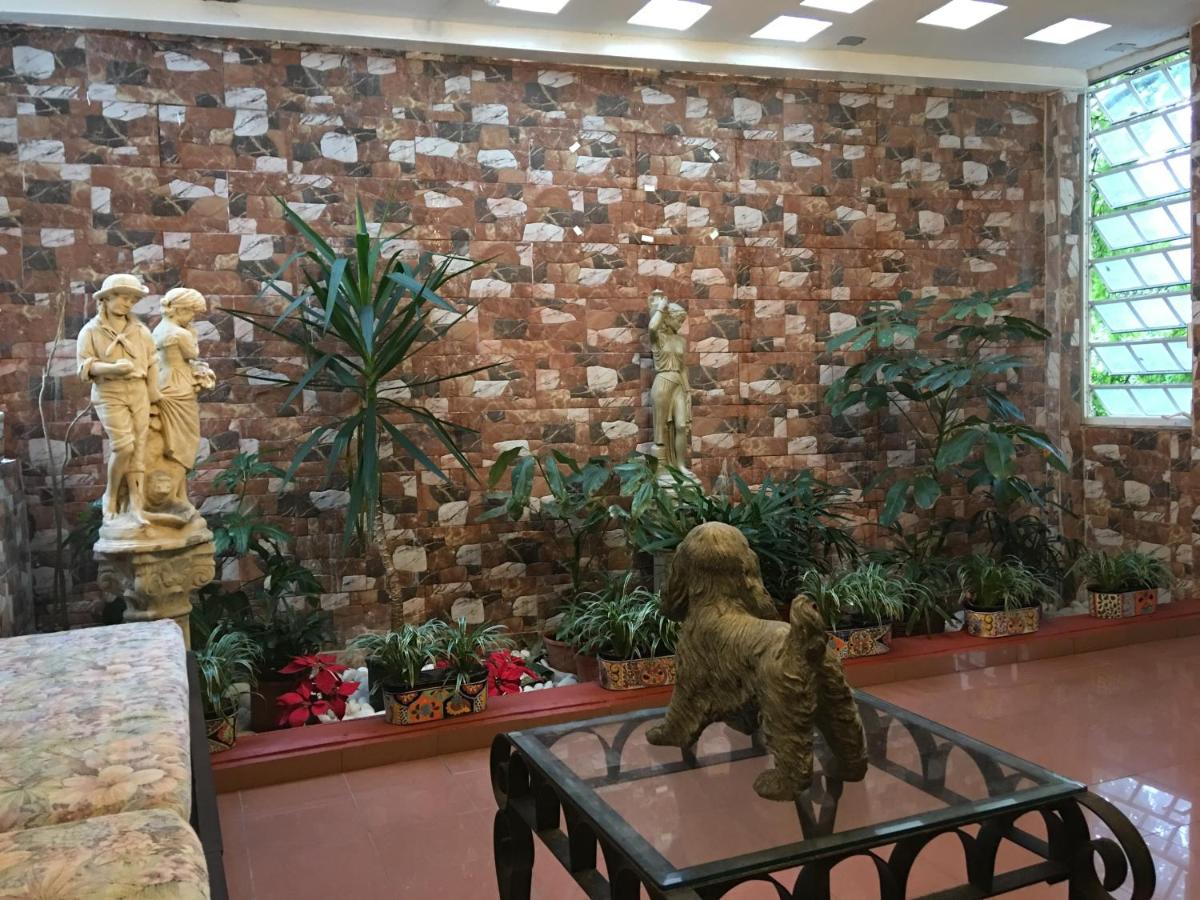 Hotel Iberia - San Juan - image 7