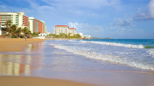 The Tryst Beachfront Hotel - image 40