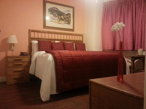 Canario Boutique Hotel - image 11