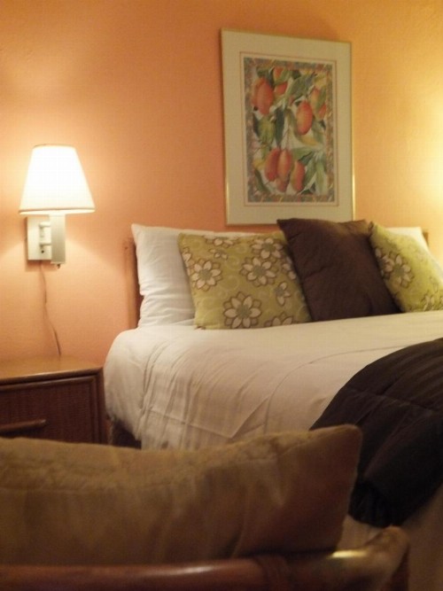 Canario Boutique Hotel - image 24