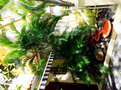 Canario Boutique Hotel - image 35