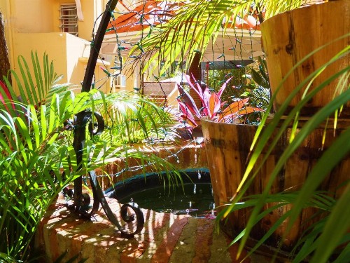 Canario Boutique Hotel - image 39