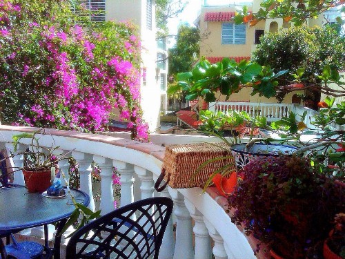 Canario Boutique Hotel - image 9