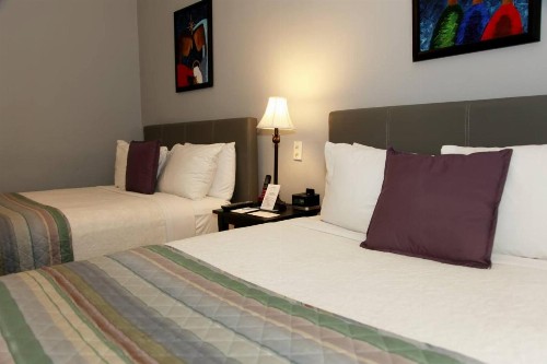 Coral Princess Hotel - image 16