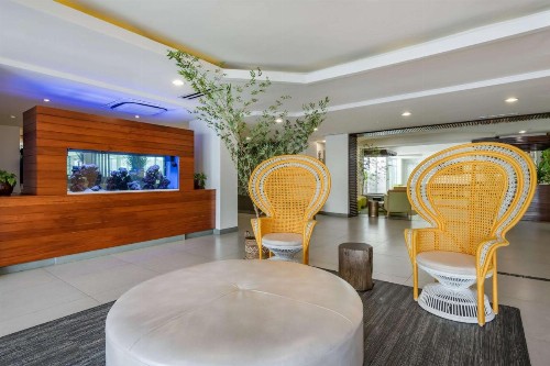 Best Western Plus Condado Palm Inn - image 7