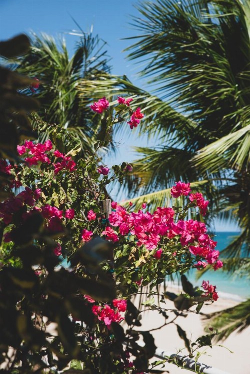 Numero Uno Beach House - image 29