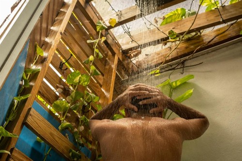 Coqui del Mar - LGBTQ Hotel - All Adults Welcome - image 10