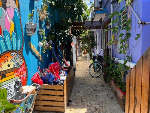 Coqui del Mar - LGBTQ Hotel - All Adults Welcome - image 21