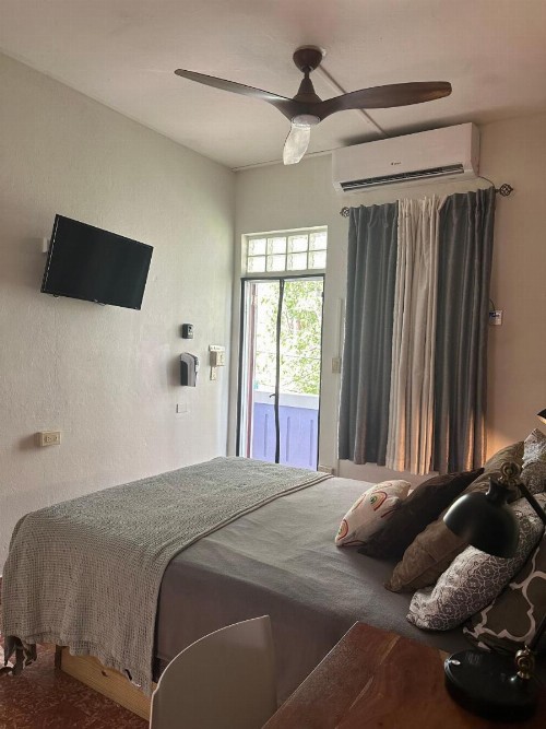 Coqui del Mar - LGBTQ Hotel - All Adults Welcome - image 39