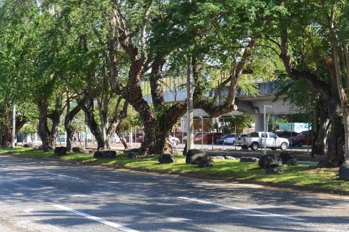 Zen Retreat City Centre - image 22