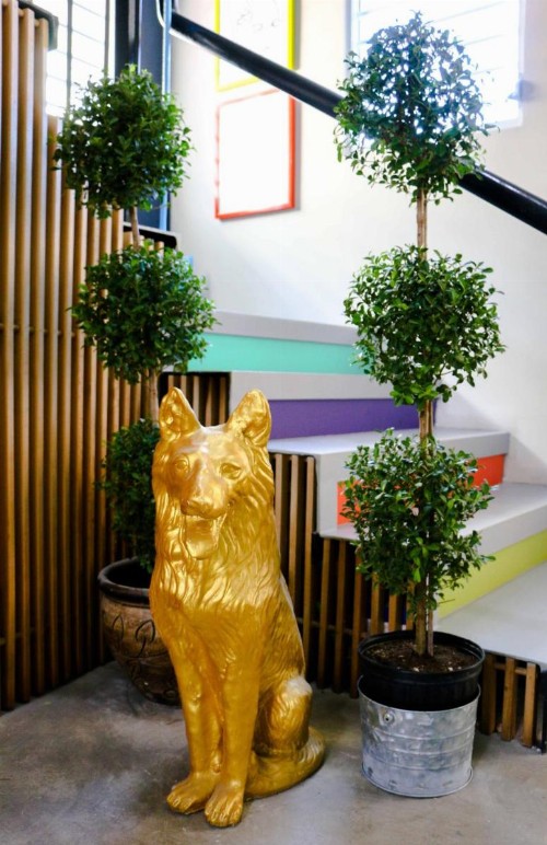 Conturce Hostel - image 28