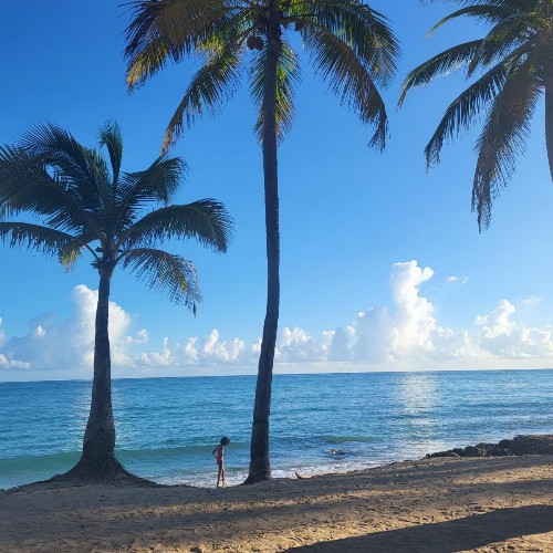Cozy Beach Apartment - image 29