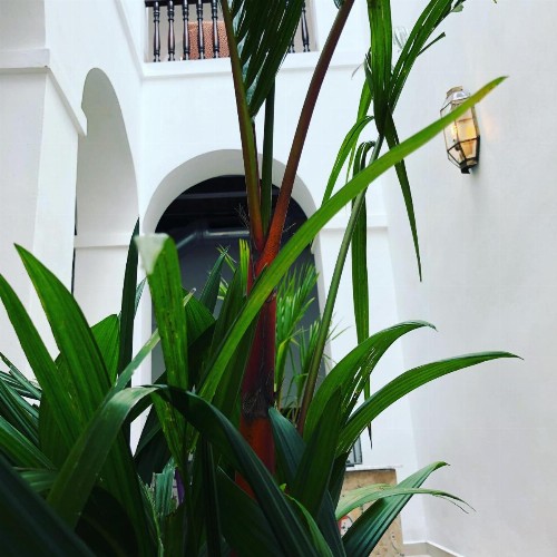 352 Guest House - image 32