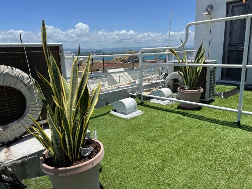 Roof Top Apt Unit 6 for 2 Guests AMAZING Views Old San Juan - image 9