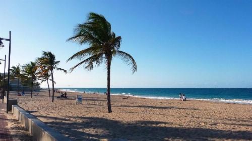 Serena Baja - image 11