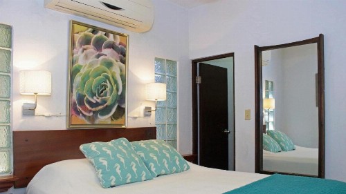 Serena Baja - image 14