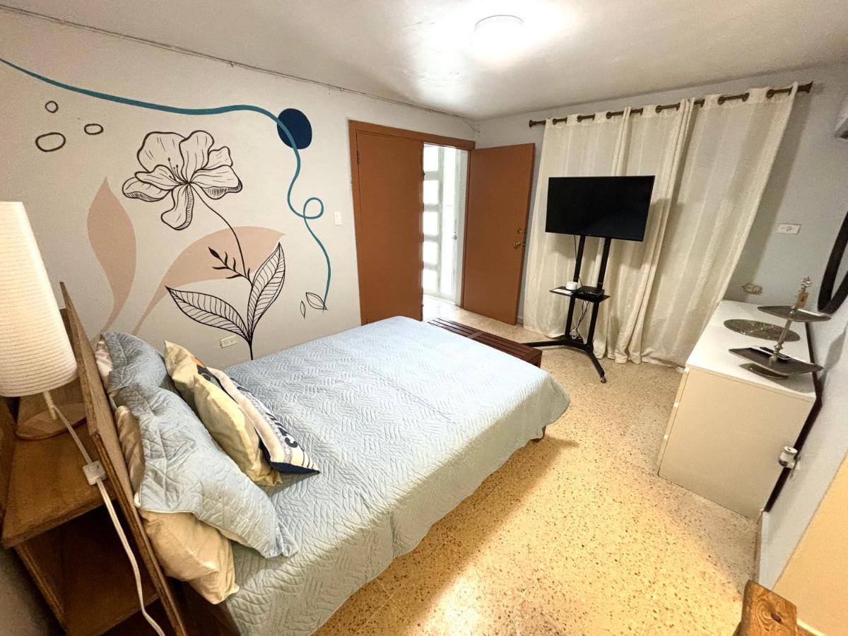 Cozy Apartment in San Juan - image 3
