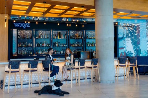 Aloft San Juan - image 14