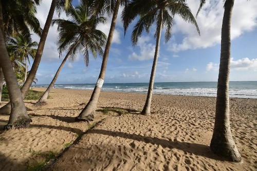 Galicia by the Sea BEACH POOL Studio Cabana APARTMENT FOR 2 in CONDADO - image 25
