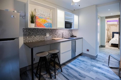 The Tapia Haus 103 - image 6