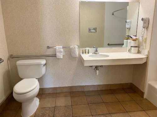 Olive Tree Inn & Suites - image 12
