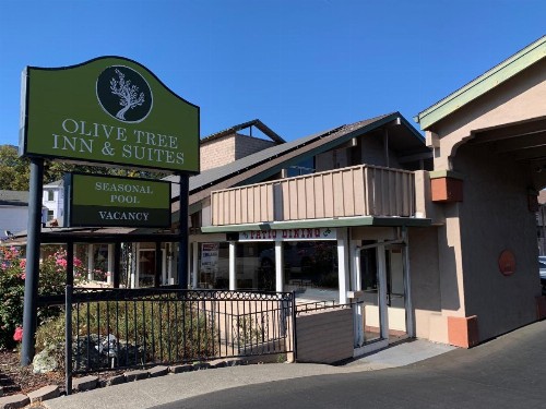 Olive Tree Inn & Suites - image 18
