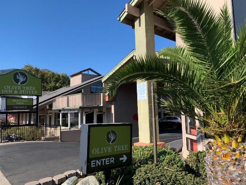 Olive Tree Inn & Suites - image 19