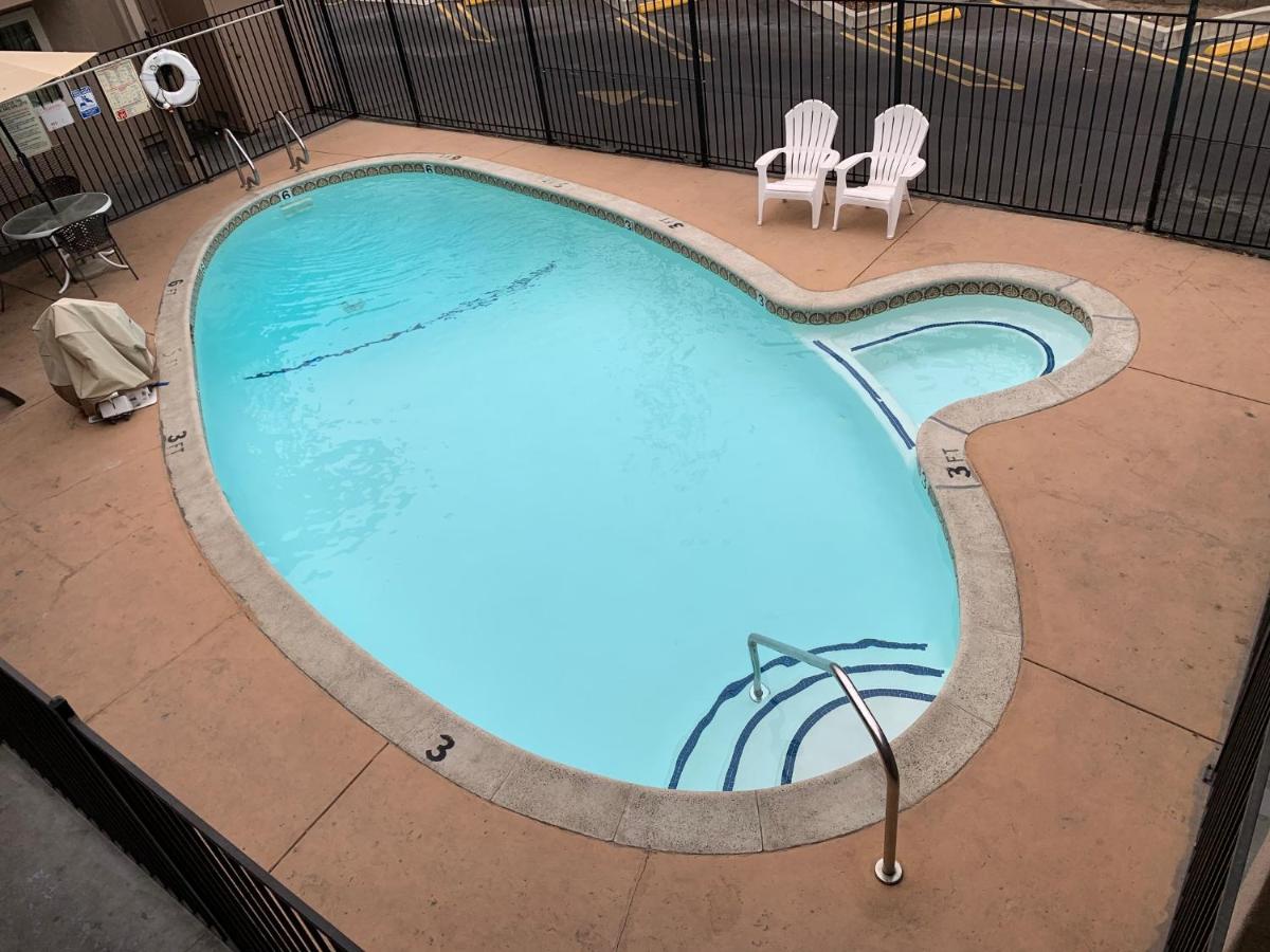 Olive Tree Inn & Suites - image 5
