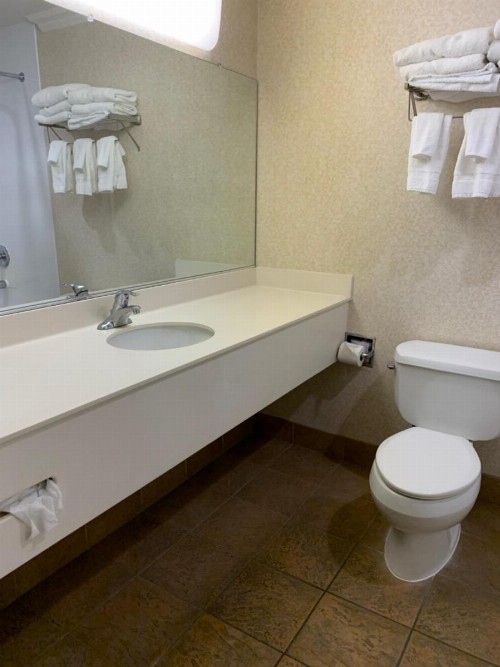 Olive Tree Inn & Suites - image 7