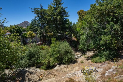 DOWNTOWN SLO INN - SAN LUIS OBISPO - image 12
